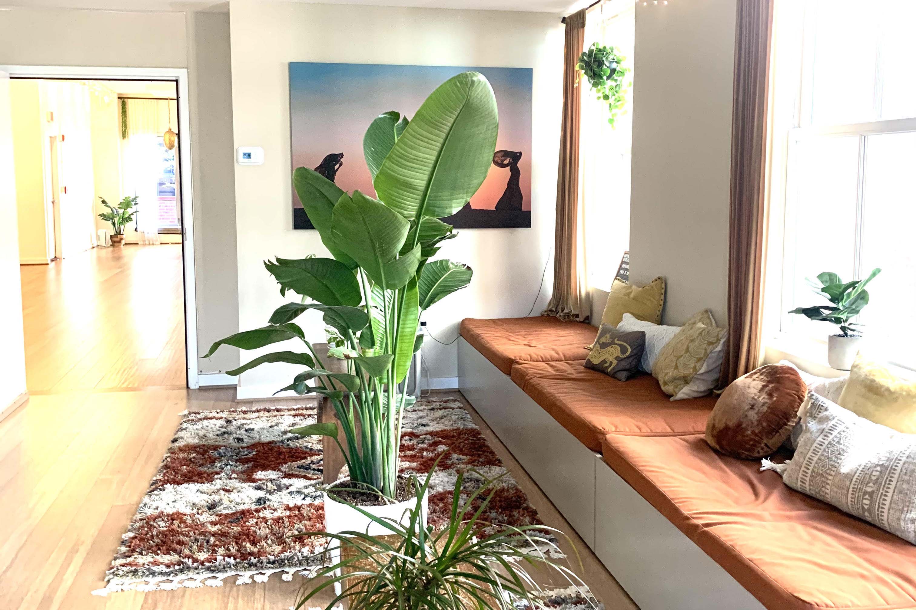 Flow yoga Center.jpg__PID:771563e0-7c2a-459f-b6e1-a01817a2a17c