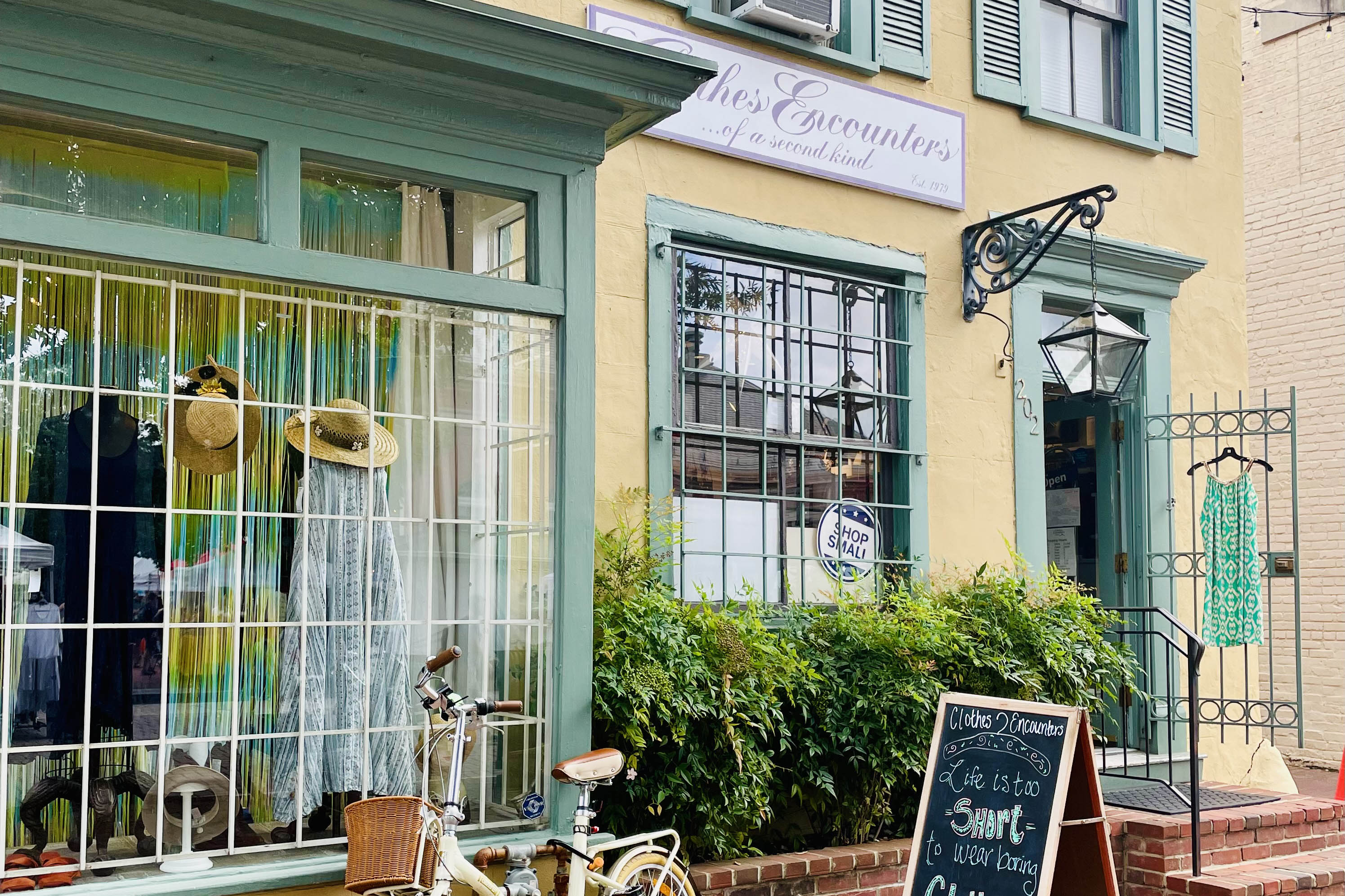 IMG_1166 - Gail Stern.jpeg__PID:a46cae34-3f22-4e1a-9186-01f6308da544