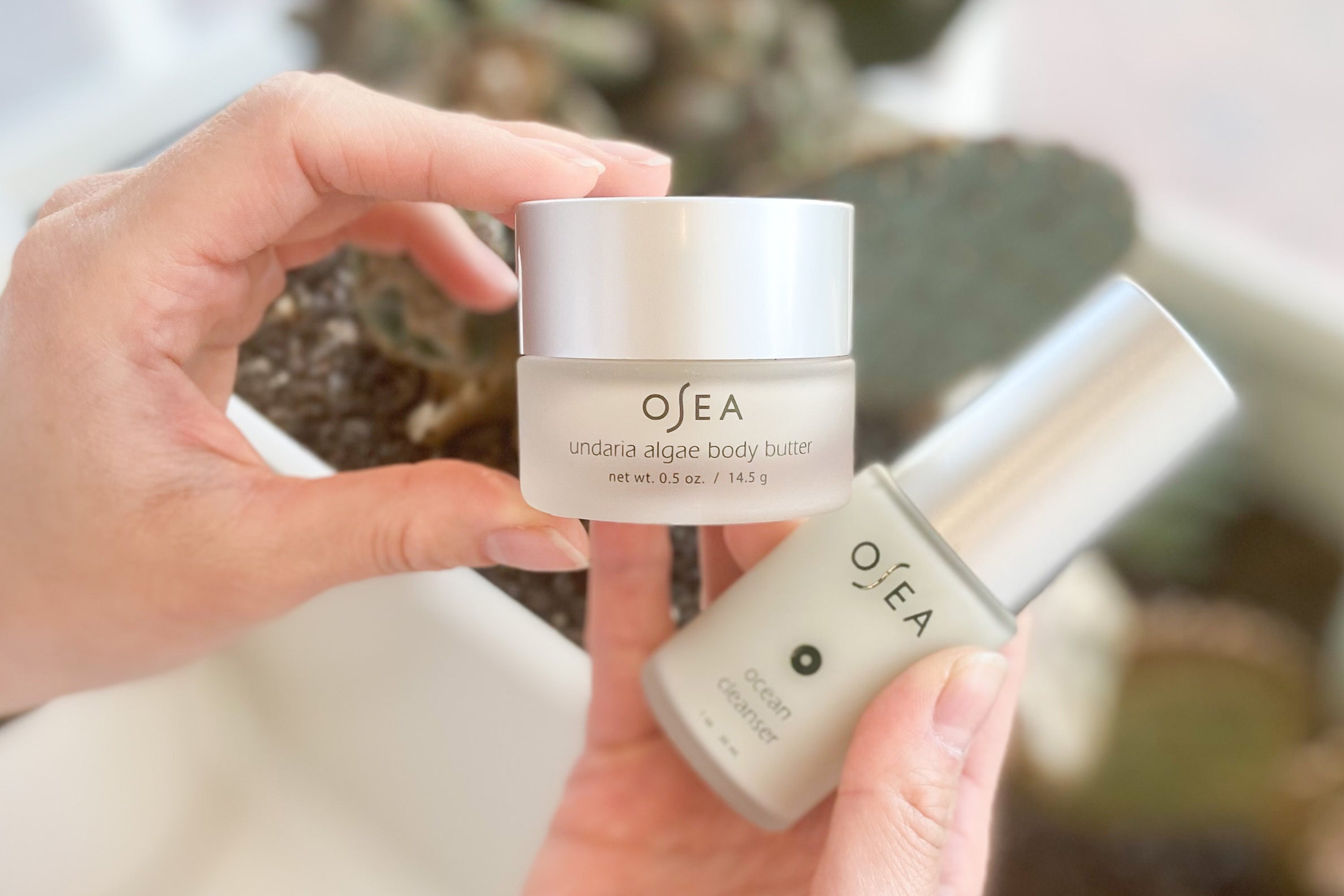 IMG_2215 - Take Care.jpeg__PID:2eb5e713-54e3-46c3-9bc3-1a8ad3505d9e