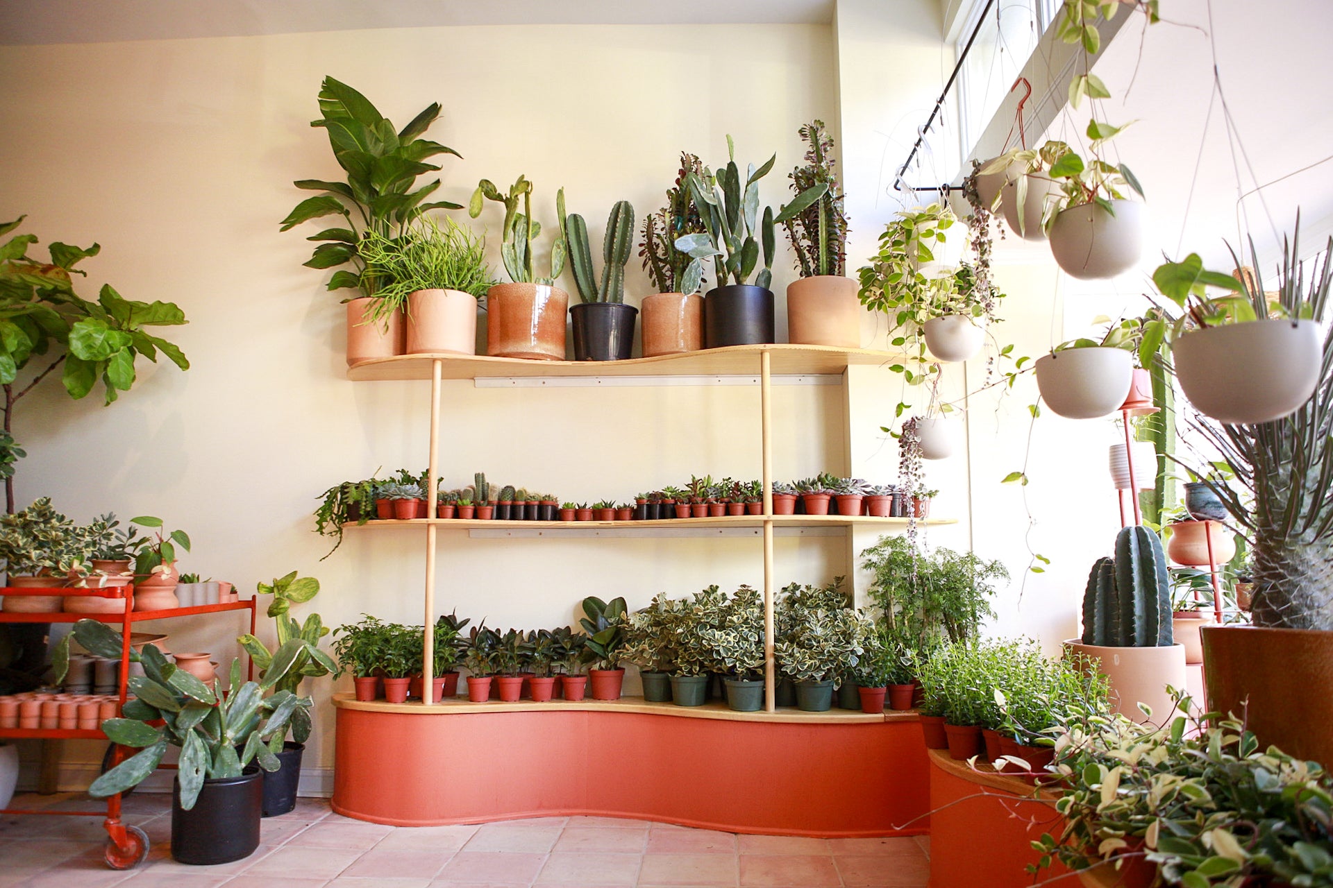 _MG_1246 (1) - Hello REWILD.JPG__PID:00529193-4c59-46e7-a525-48ea4f484b40