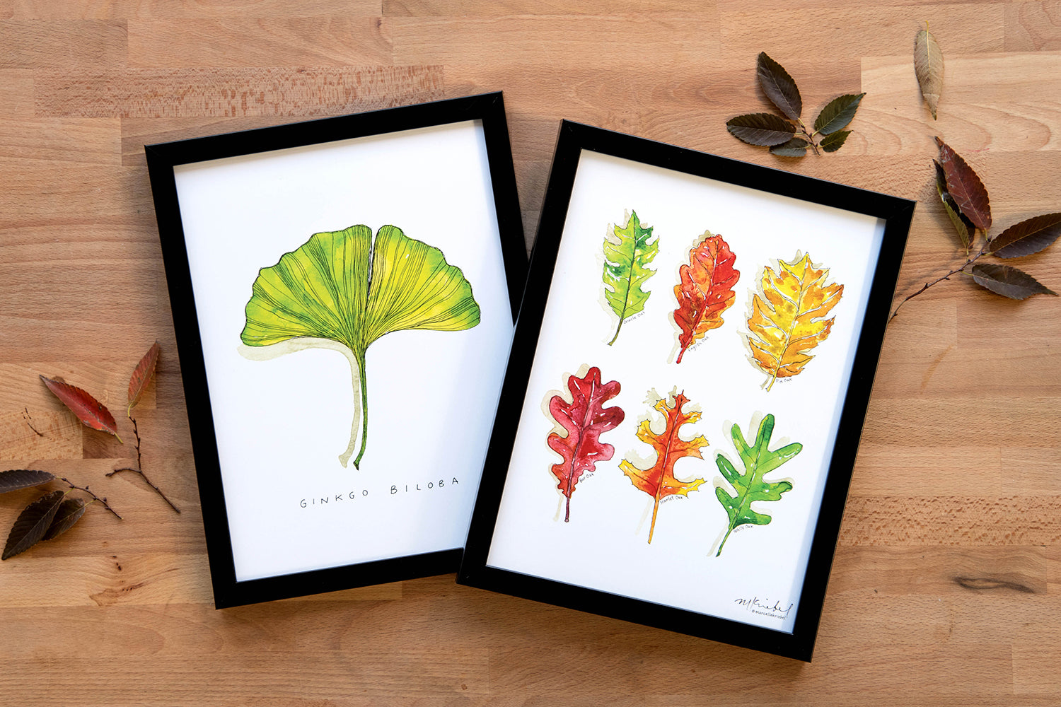 Marcella Kriebel Watercolor Leaves - marcella kriebel.jpg__PID:e2d076df-4271-4816-8226-c6103f98c65a