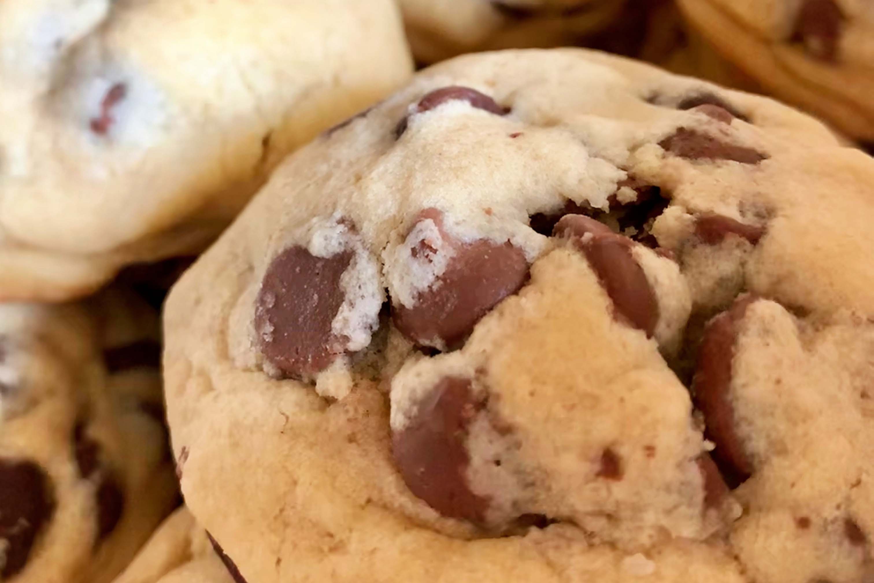 MillionDollarChocolateChip - Maria Bartos.jpg__PID:4bf5cdcd-d3d6-41e2-8981-b0bdf047f9dc