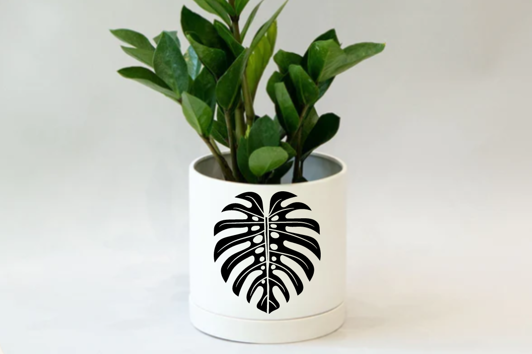 webpics1 - Chanel Gloster.png__PID:b45d0298-9562-4969-b935-0fb8ffecb861